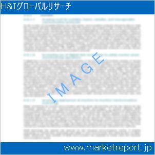 市場と産業調査レポートのイメージ